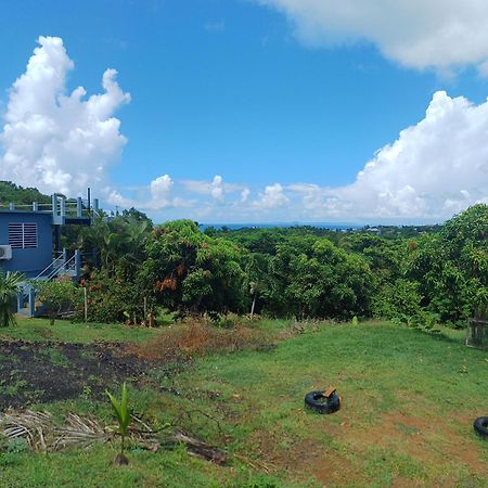 Rooster Run Glamping Camping Has Rooftop And Off The Ground Glamping Experience For 1 To 16 In A Single Tent And Views Of The Rain Forrest And To Culebra Across The Atlantic Ocean W Tents, Linens, Deluxe Air Beds, Warm Shower And More At A Great Pric Vieques Exterior photo