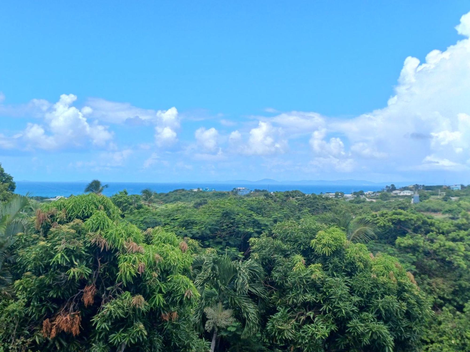 Rooster Run Glamping Camping Has Rooftop And Off The Ground Glamping Experience For 1 To 16 In A Single Tent And Views Of The Rain Forrest And To Culebra Across The Atlantic Ocean W Tents, Linens, Deluxe Air Beds, Warm Shower And More At A Great Pric Vieques Exterior photo