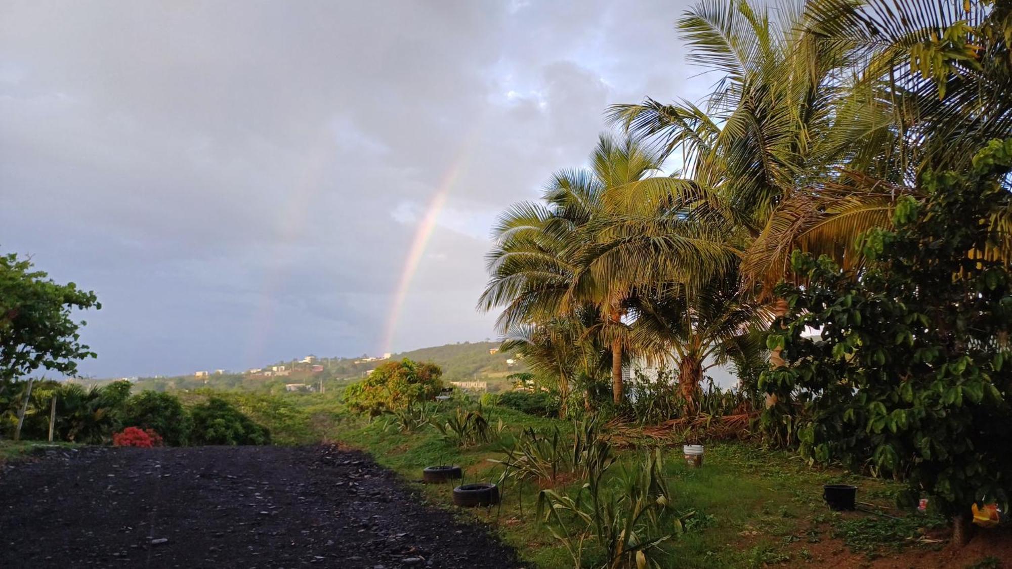 Rooster Run Glamping Camping Has Rooftop And Off The Ground Glamping Experience For 1 To 16 In A Single Tent And Views Of The Rain Forrest And To Culebra Across The Atlantic Ocean W Tents, Linens, Deluxe Air Beds, Warm Shower And More At A Great Pric Vieques Exterior photo