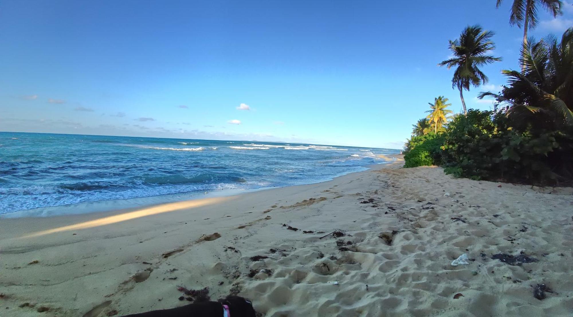 Rooster Run Glamping Camping Has Rooftop And Off The Ground Glamping Experience For 1 To 16 In A Single Tent And Views Of The Rain Forrest And To Culebra Across The Atlantic Ocean W Tents, Linens, Deluxe Air Beds, Warm Shower And More At A Great Pric Vieques Exterior photo