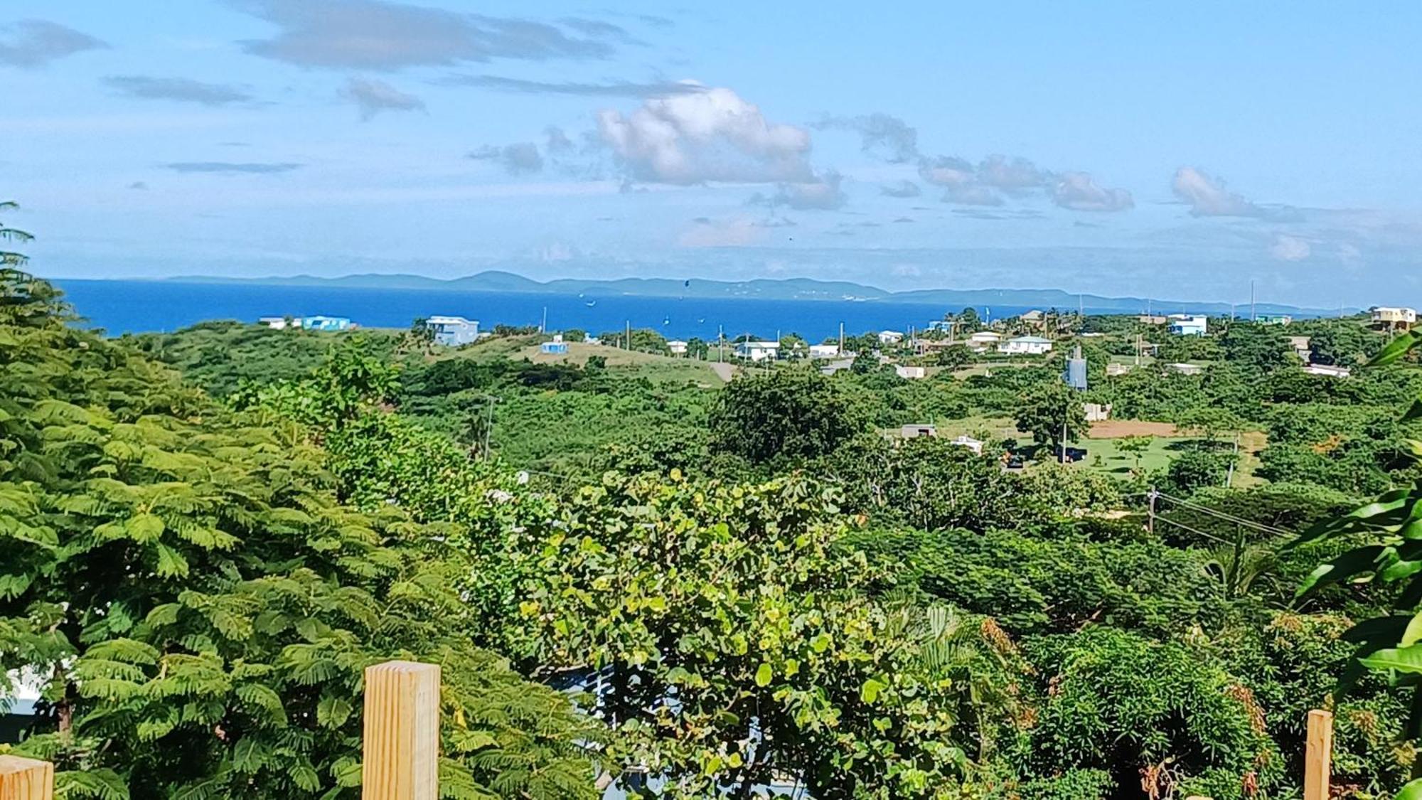Rooster Run Glamping Camping Has Rooftop And Off The Ground Glamping Experience For 1 To 16 In A Single Tent And Views Of The Rain Forrest And To Culebra Across The Atlantic Ocean W Tents, Linens, Deluxe Air Beds, Warm Shower And More At A Great Pric Vieques Exterior photo